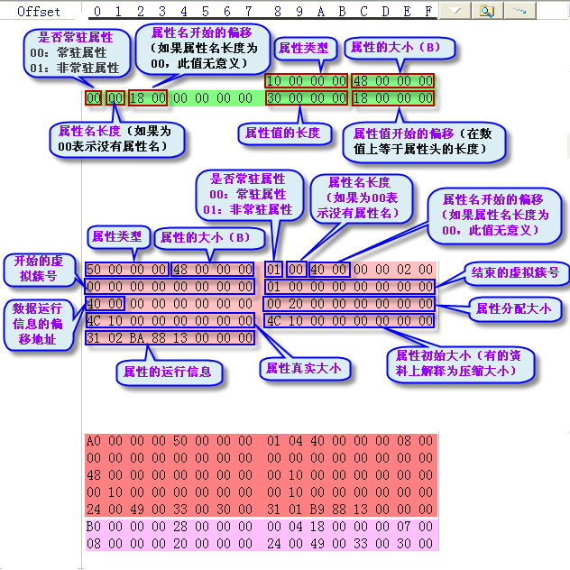 5属性头标注1