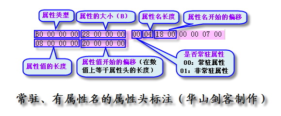 7常驻、有属性名的属性头标注